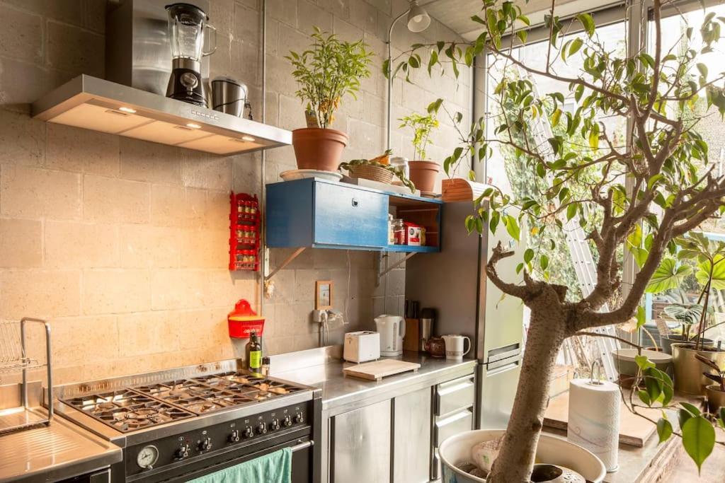 Mari's: Multifunctional Shelter With Big Garden Gante